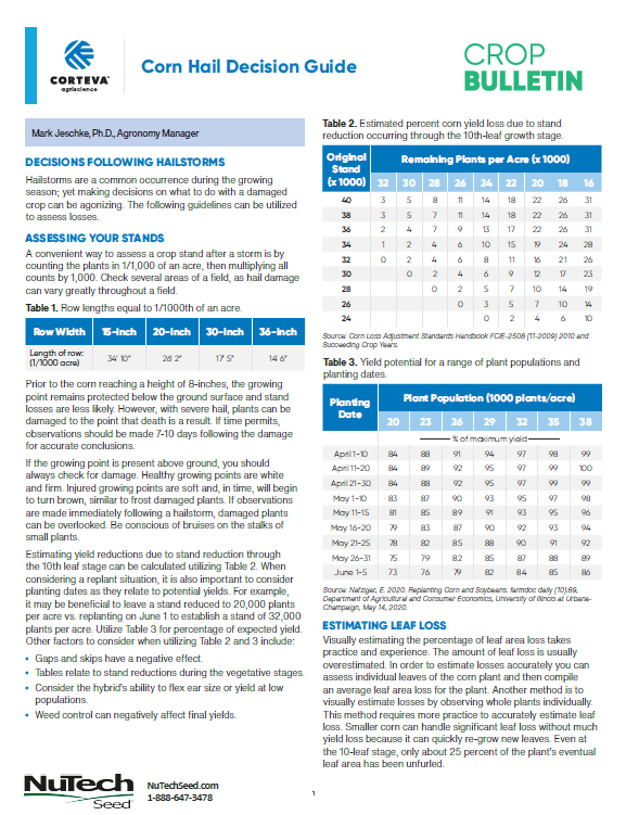 Corn Hail Decision Guide