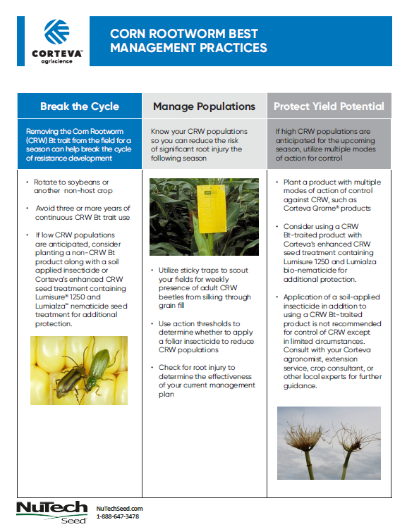 Corn Rootworm Best Management Practices