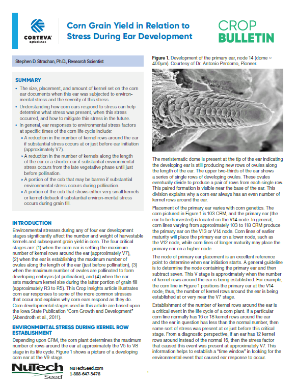 Corn Yield Stress in Relation to Ear Development