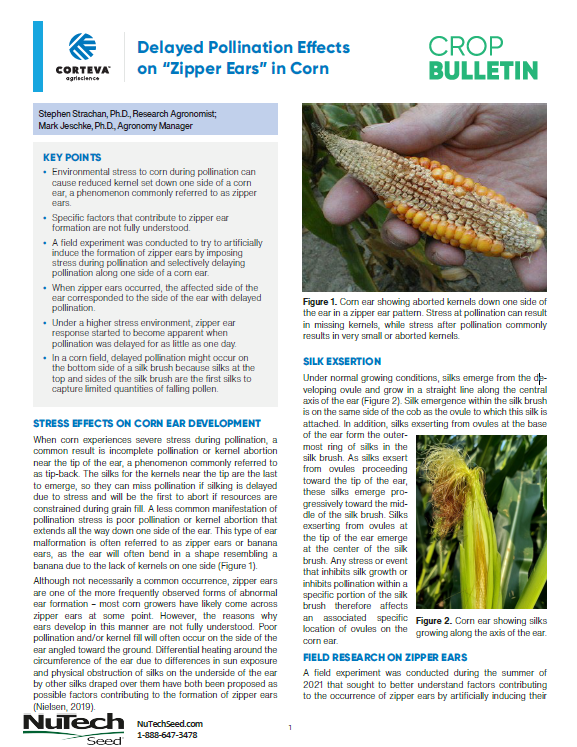 Delayed Pollination Effects