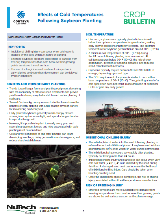 Ear Declination Prior to Corn Maturity