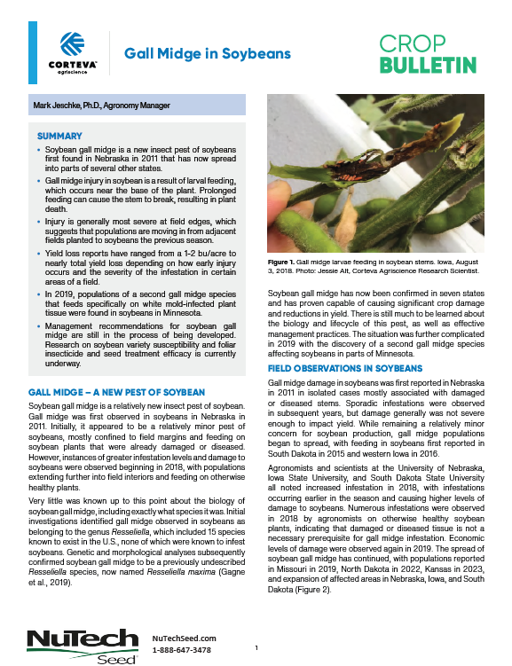 Gall Midge in Soybeans