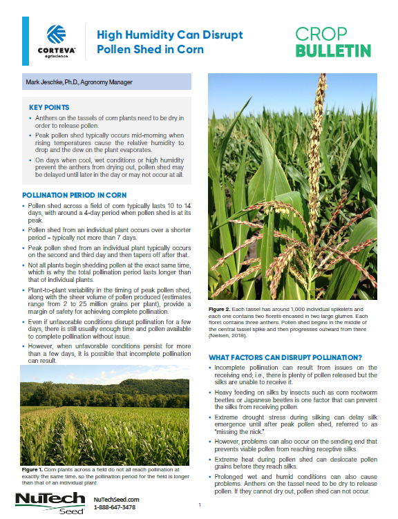 High Humidity Can Disrupt Pollen Shed in Corn
