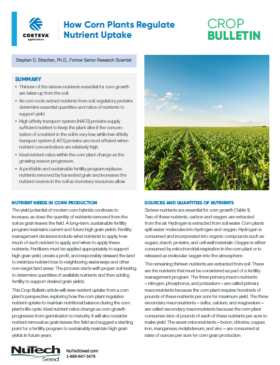 How Corn Regulates Nutrient Uptake