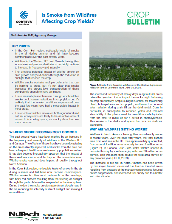 How Corn Regulates Nutrient Uptake