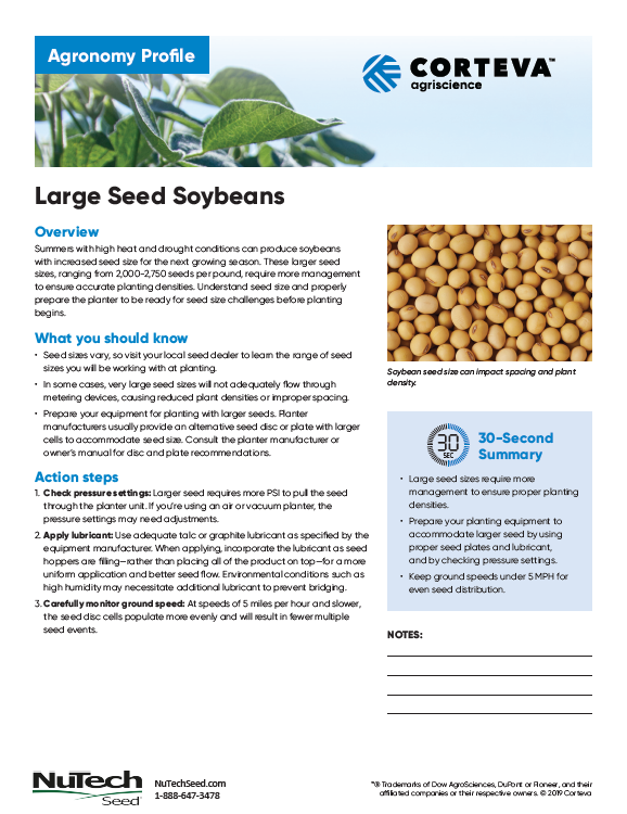 Large Seed Soybeans