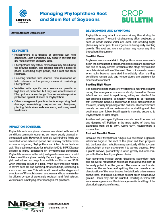 Managing Phytophthora Root and Stem Rot of Soybeans