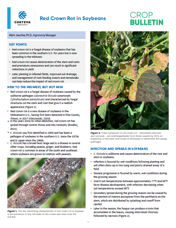 Red Crown Rot in Soybeans