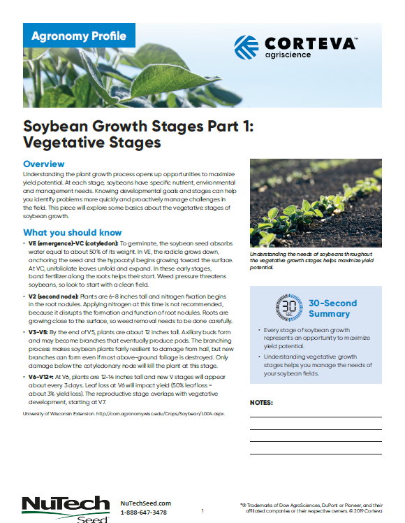 Soybean Growth Stages Part 1 - Vegetative Stages