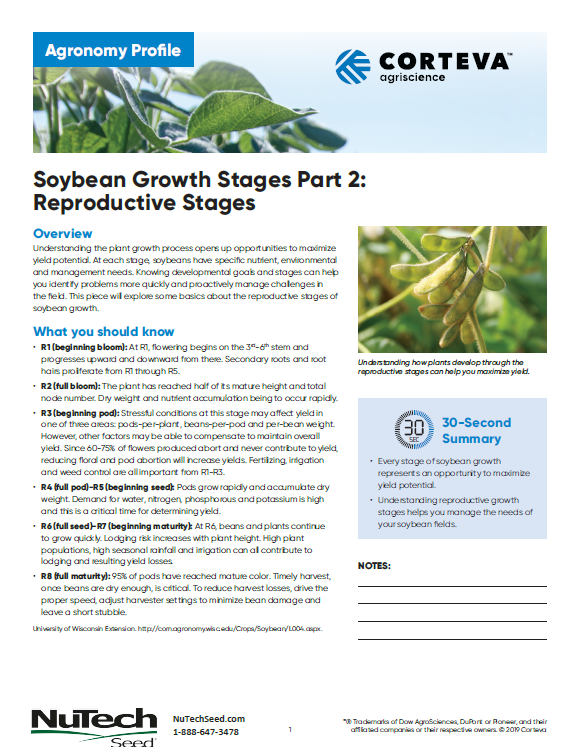 Soybean Growth Stages Part 2 - Reproductive Stages