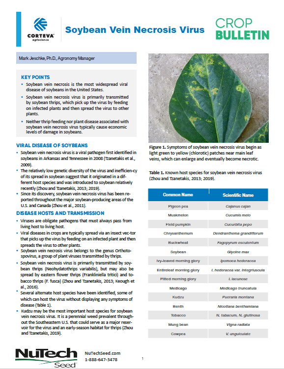 Soybean Seed Treatment Considerations