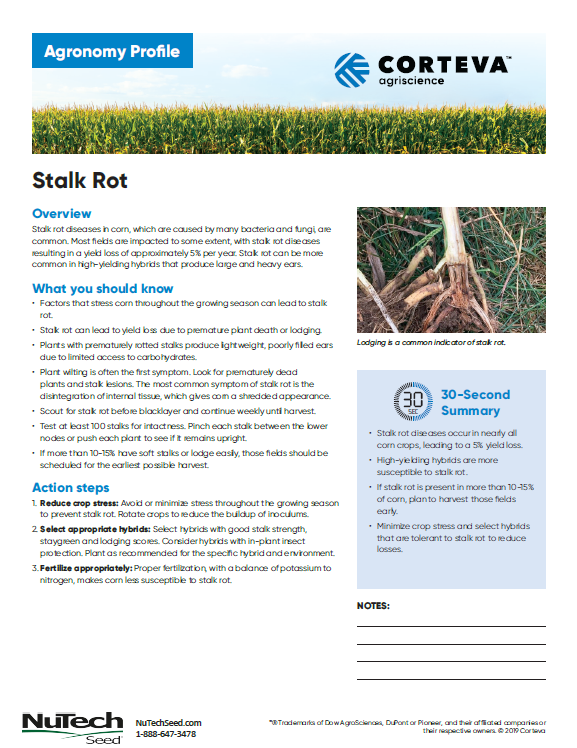 Stalk Rot