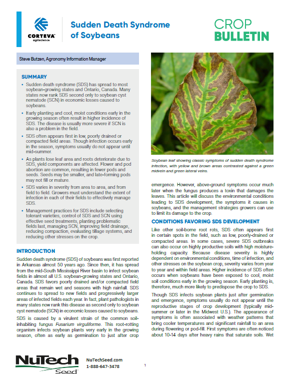 Sudden Death Syndrome of Soybeans