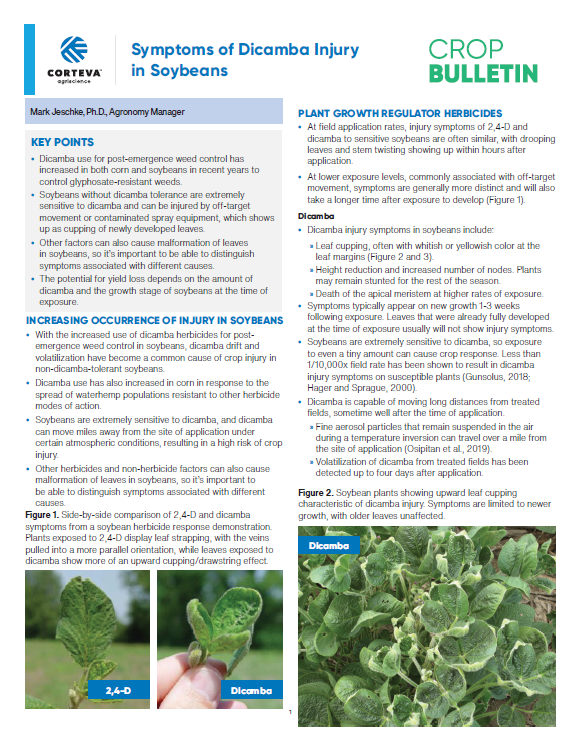 Soybean Seed Treatment Considerations