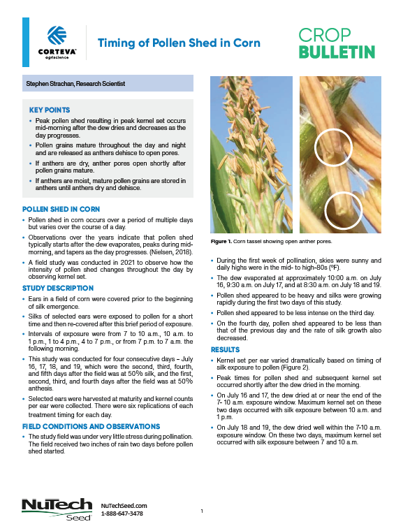 Timing of Pollen Shed in Corn